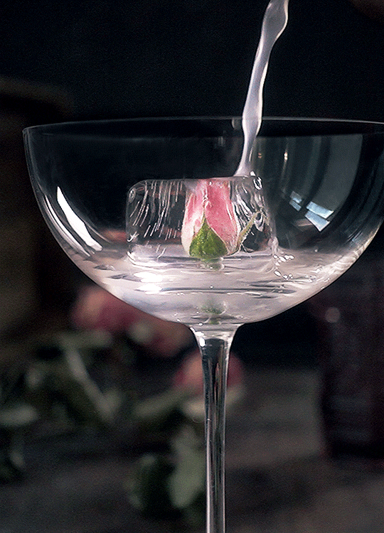 Бокал вина утром. Красивые цветы в бокале. Наполним бокалы. Цветок в фужере с водой. Красивые бокалы.